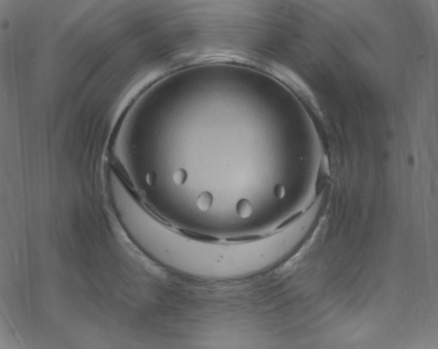 X0000070231190200605301448