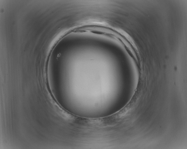 X0000070231191200605301448