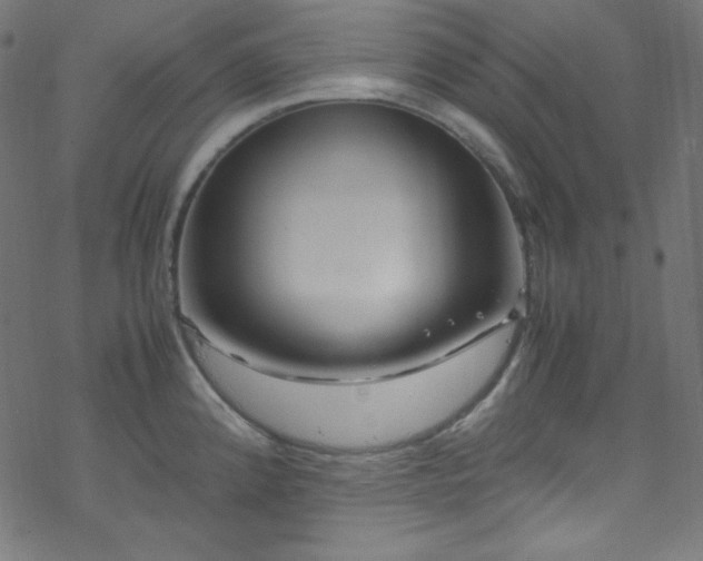 X0000070231192200605301448