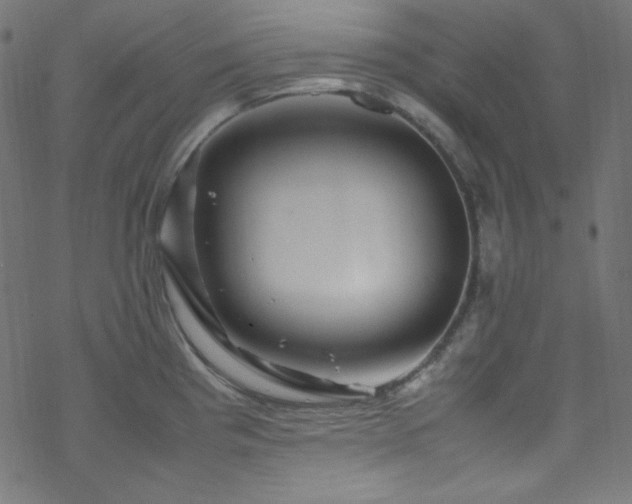 X0000070231193200605301448