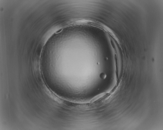 X0000070231194200605301448