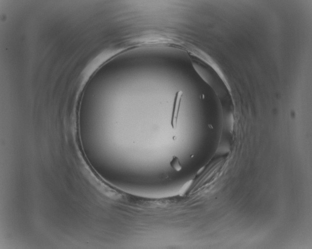 X0000070231195200605301448