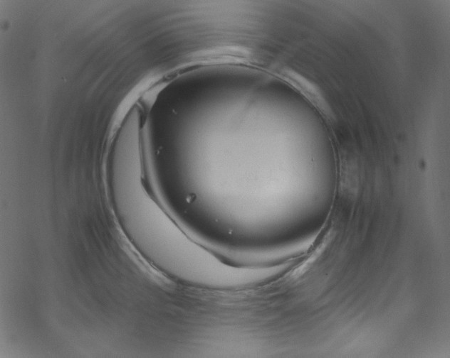 X0000070231196200605301448