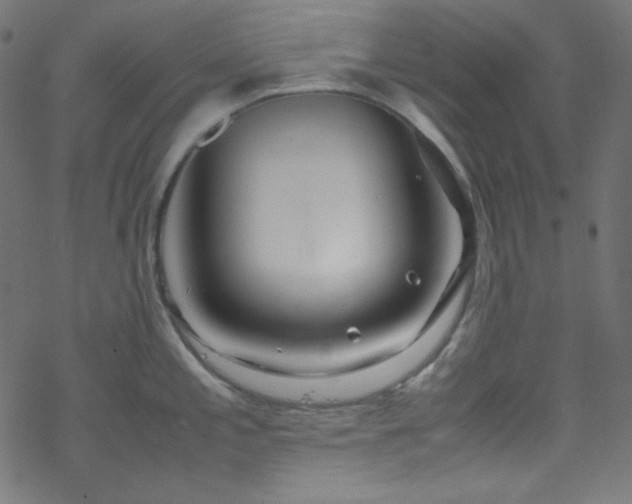 X0000070231197200605301448