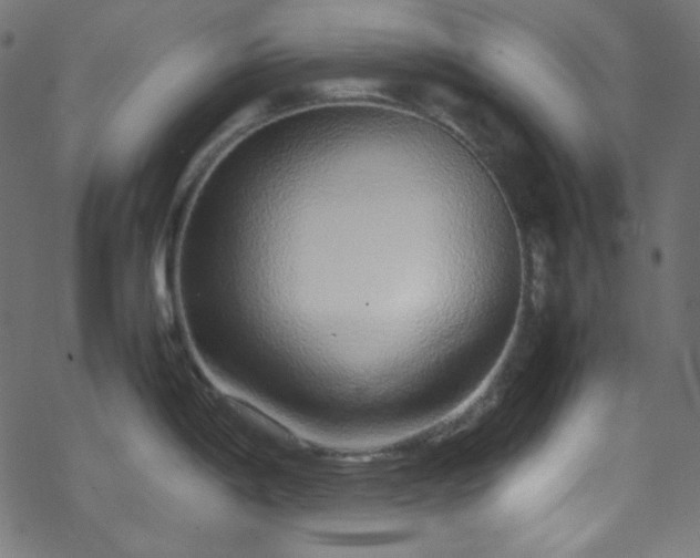 X0000070231198200605301448