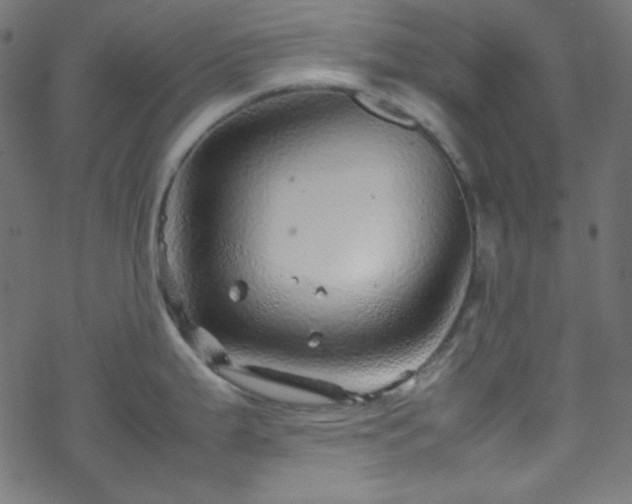 X0000070231199200605301448