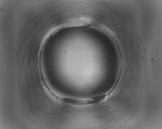 X0000070231200200605301448