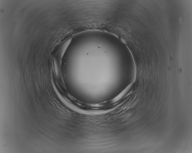 X0000070231202200605301447