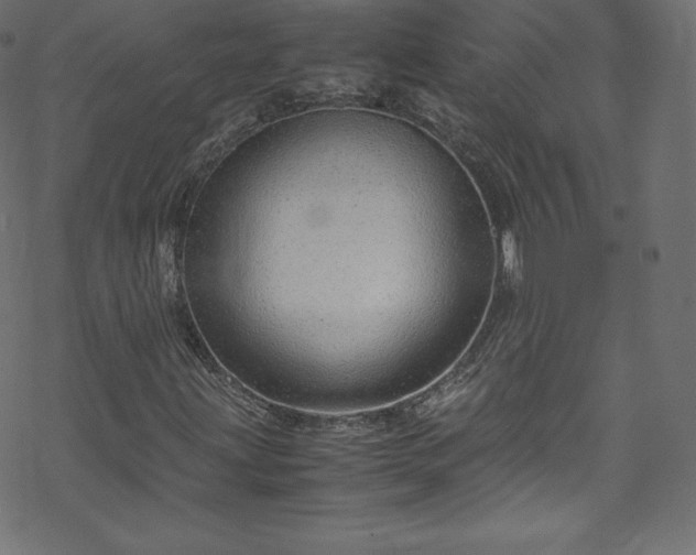 X0000070231203200605301447