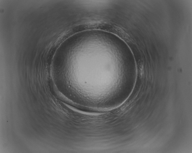 X0000070231204200605301447