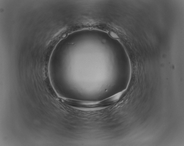 X0000070231205200605301447