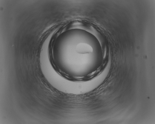 X0000070231206200605301447