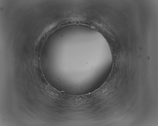 X0000070231207200605301447