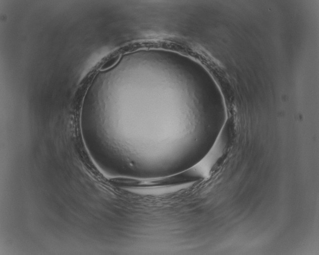 X0000070231208200605301447