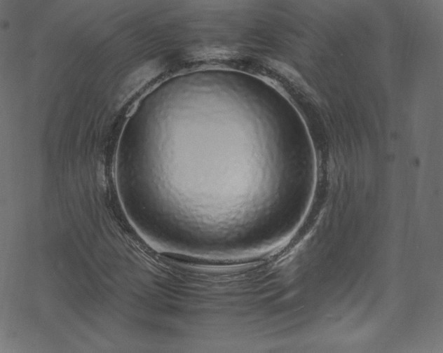 X0000070231209200605301447