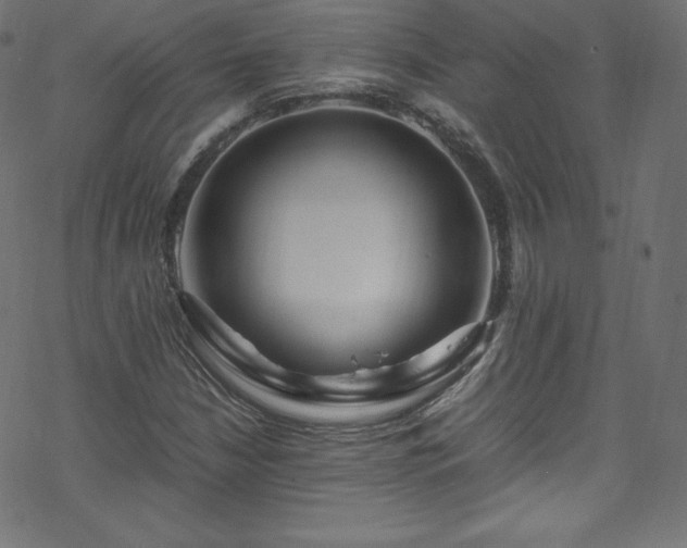 X0000070231210200605301447