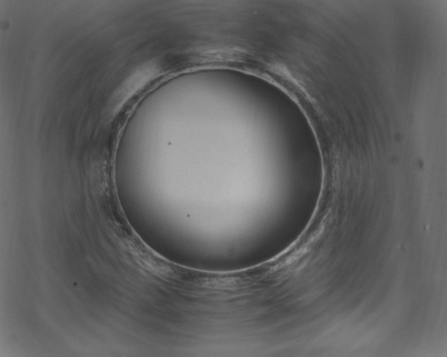 X0000070231211200605301447