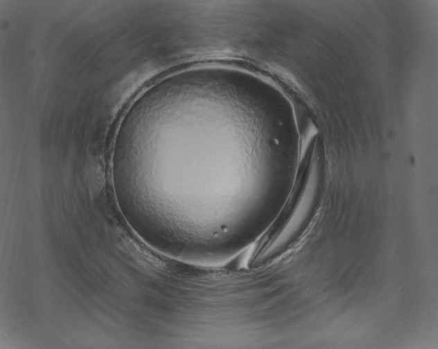 X0000070231212200605301447