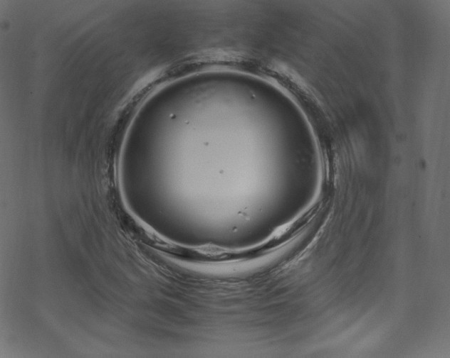 X0000070231213200605301447