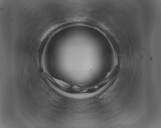 X0000070231214200605301447