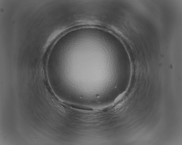 X0000070231215200605301447