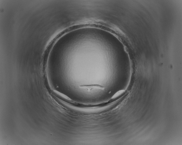 X0000070231216200605301447