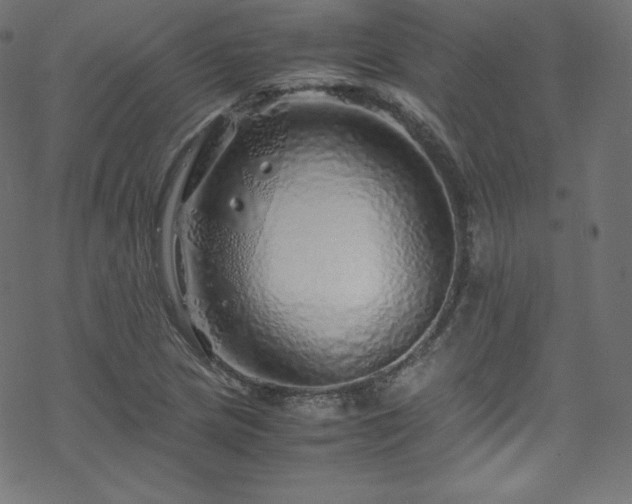 X0000070231217200605301447