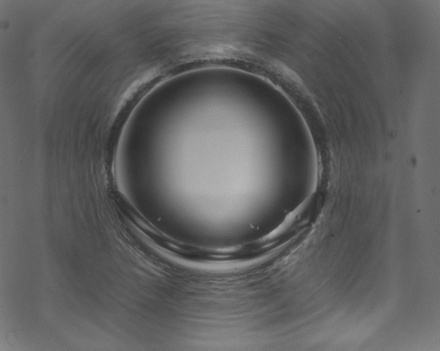 X0000070231218200605301447