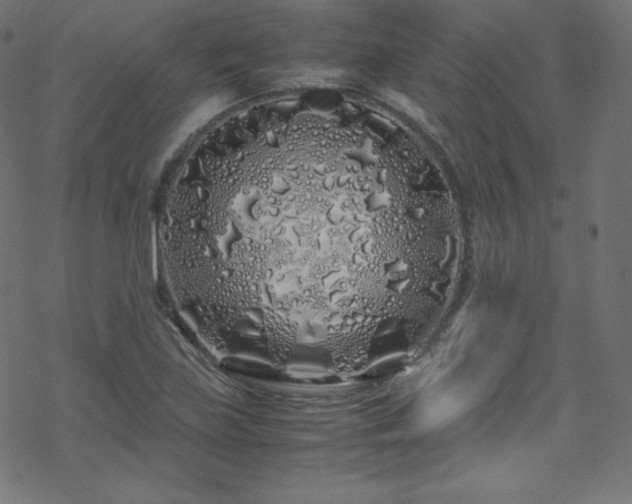 X0000070231219200605301447