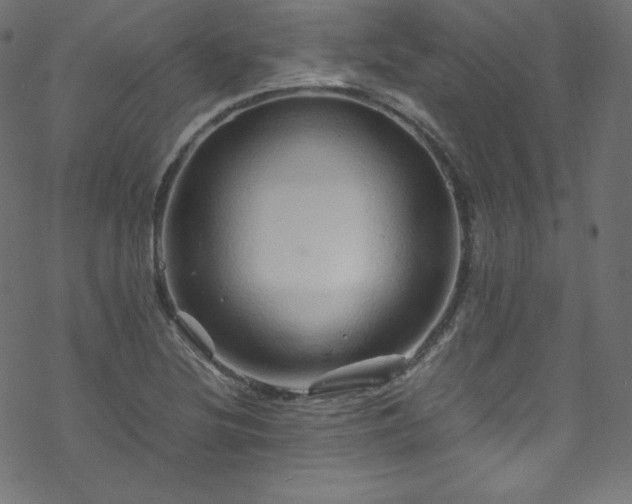 X0000070231220200605301447