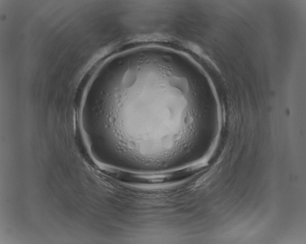 X0000070231221200605301447