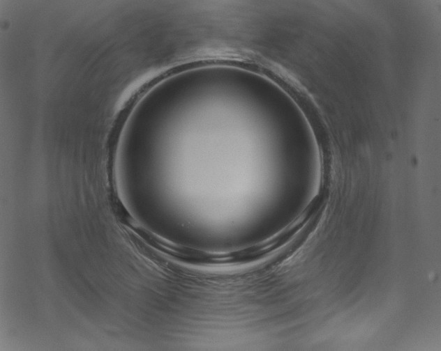 X0000070231222200605301447