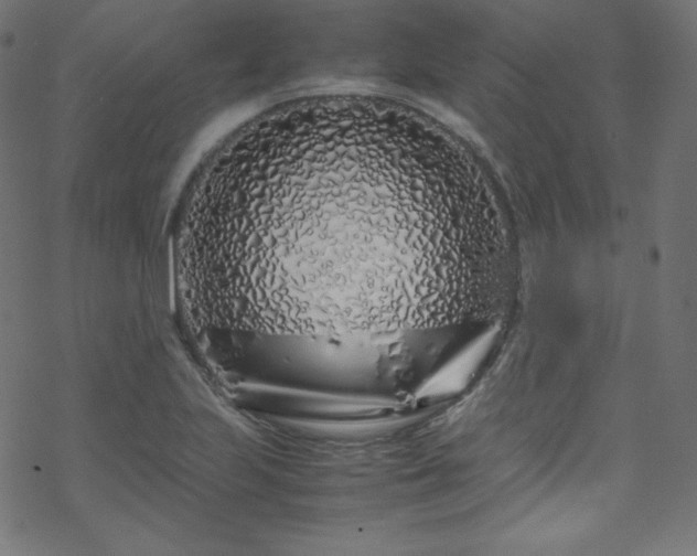 X0000070231223200605301447