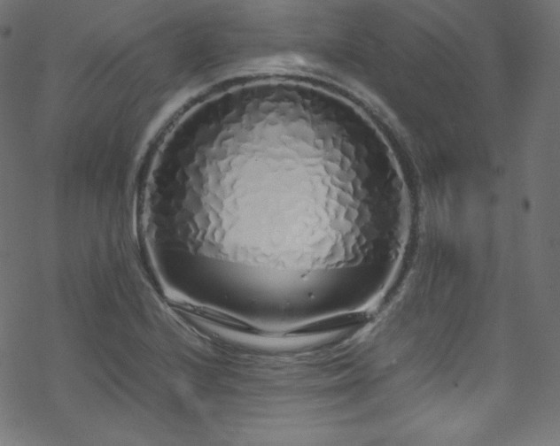 X0000070231224200605301447