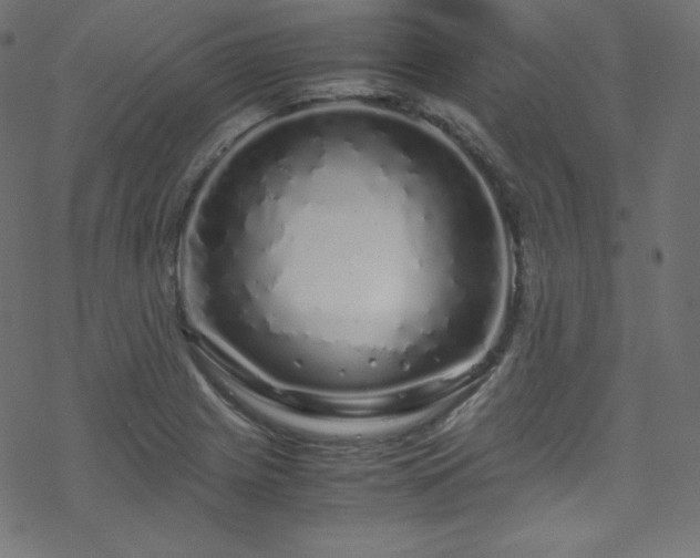 X0000070231225200605301447