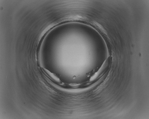 X0000070231226200605301447