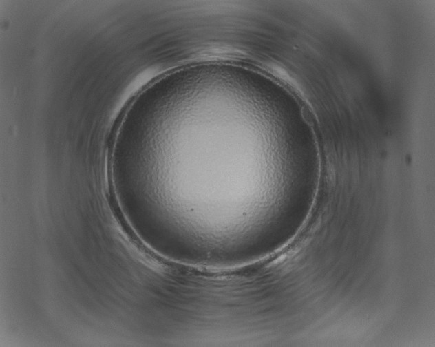 X0000070231227200605301447