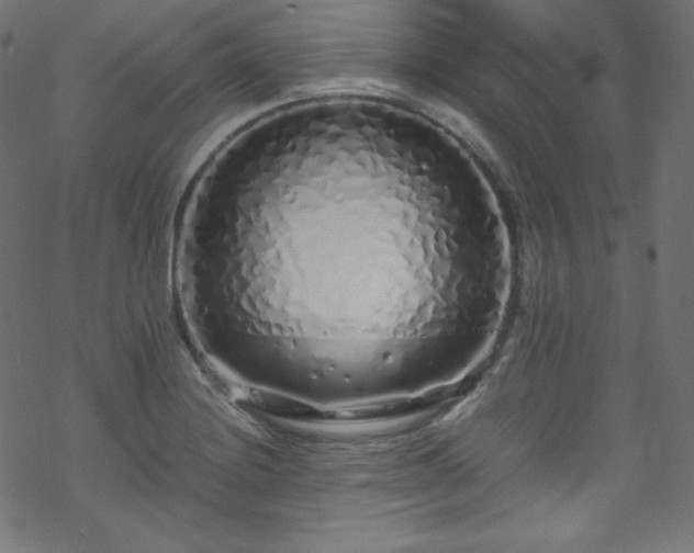 X0000070231228200605301447