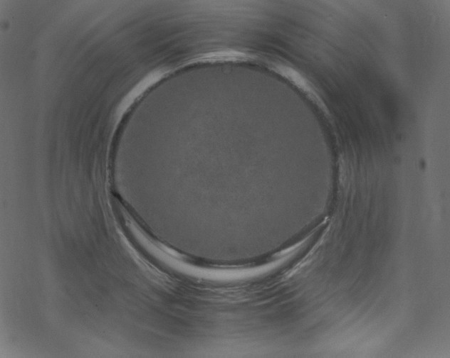 X0000070231229200605301447