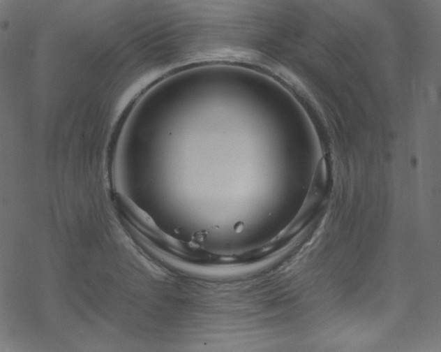 X0000070231230200605301447