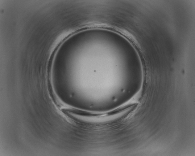 X0000070231231200605301447