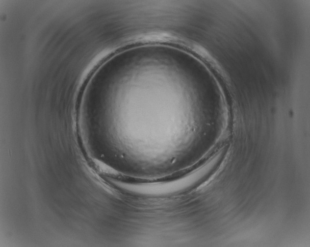 X0000070231232200605301447