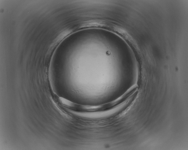 X0000070231233200605301447