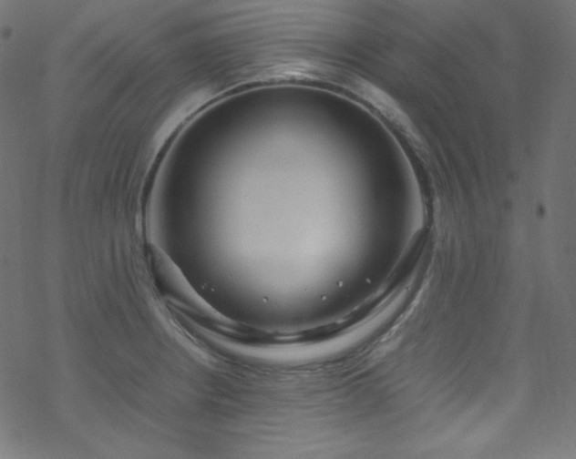 X0000070231234200605301447