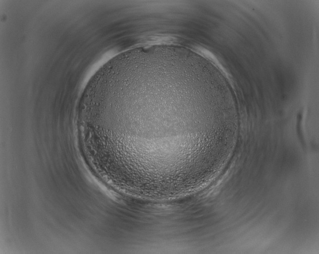 X0000070231235200605301447