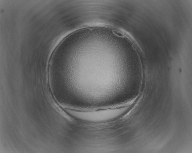 X0000070231236200605301447