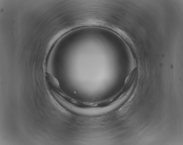 X0000070231238200605301447