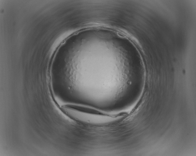 X0000070231239200605301447