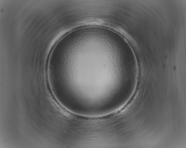 X0000070231240200605301447