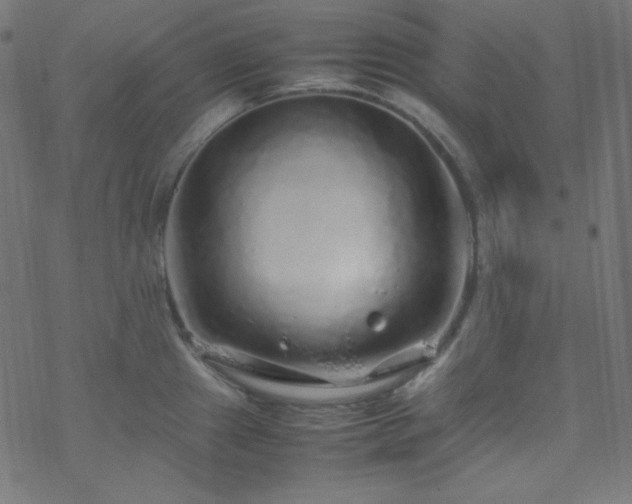 X0000070231241200605301447